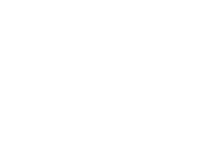 Evolution games at Cryptoloko Casino